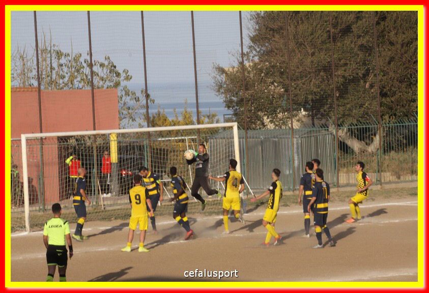 200301 Cepha_Mazara 145.jpg